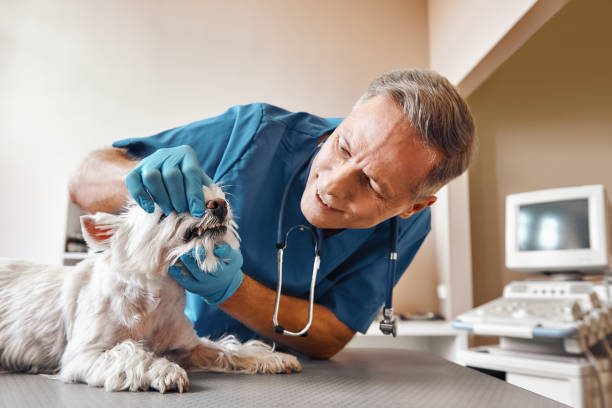 Best Emergency Root Canal Treatment in Buford, GA