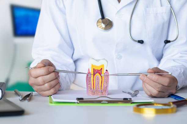 Best Weekend Emergency Dentist in Buford, GA